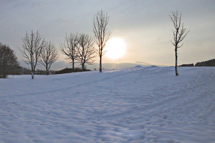 Morgensol i frost 101_0177_IMG.jpg - Morgensol i frost