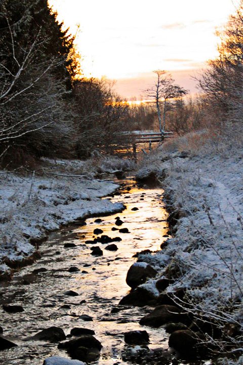 Vridslselille ae 139_3976_RJ.jpg - Vridsløselille å