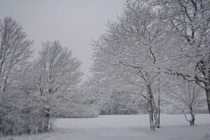 nysne IMG_8043-01.jpg - Nysne