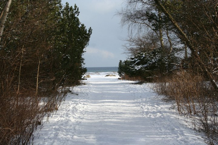 sne paa vej IMG_8135.jpg - Sne på vej