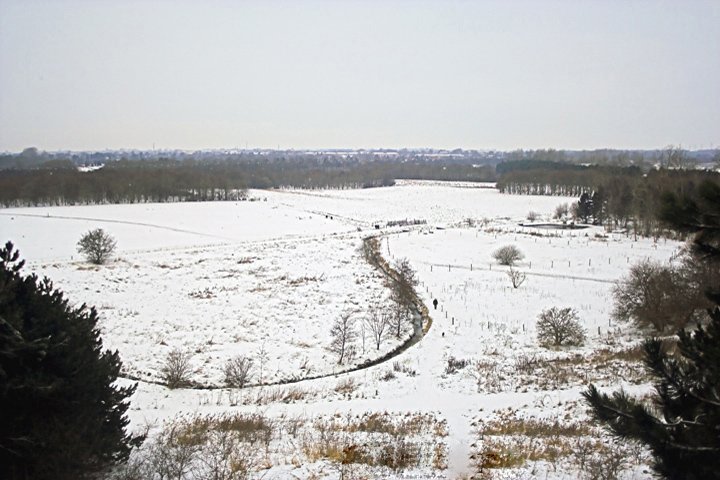 snelandskab IMG_8022-01.jpg - Snelandskab