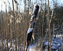 Dunhammer IMG_7920