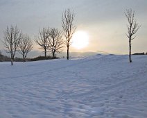 Morgensol i frost 101_0177_IMG