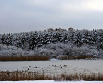 frosen soe IMG_7796