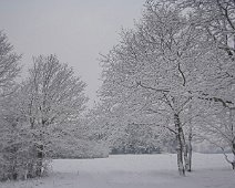 nysne IMG_8043-01