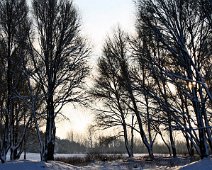 sol i frost IMG_7831