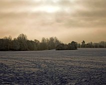 spor i sne IMG_7944-01