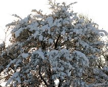 tjoern IMG_7815