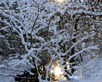 vand IMG_7817